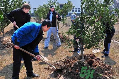 如何提高植樹的成活率？植樹節(jié)種樹要注意哪些細節(jié)？
