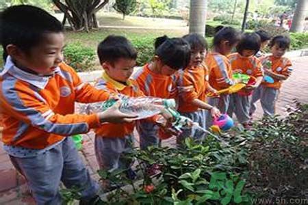 如何提高植樹的成活率？植樹節(jié)種樹要注意哪些細節(jié)？