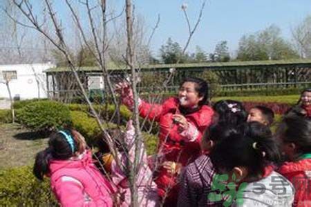 如何提高植樹的成活率？植樹節(jié)種樹要注意哪些細節(jié)？