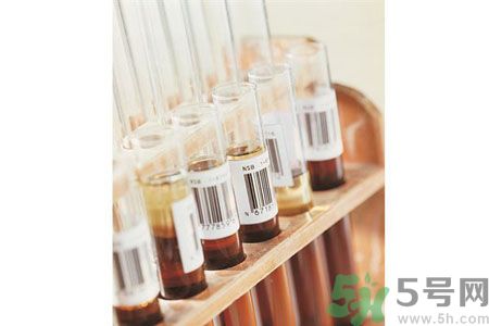 什么是茲卡病毒？茲卡病毒會死人嗎？