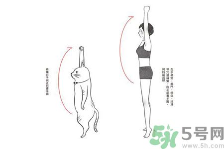 電腦族肩膀痛疼怎么辦？肩膀痛疼怎么解決？