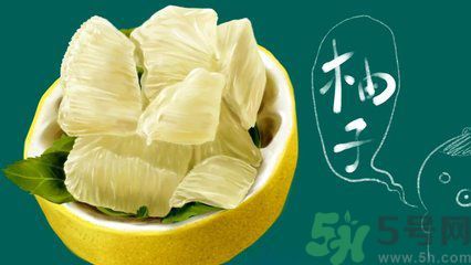 多吃柚子能減肥嗎？怎樣吃柚子才健康？