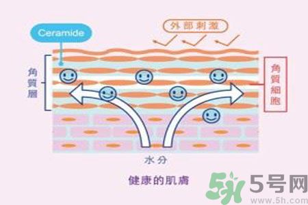 皮膚炎癢是怎么回事？皮膚炎發(fā)作怎么治療？