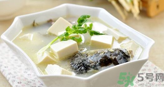 吃魚真的能變聰明嗎？喝魚湯有什么好處？