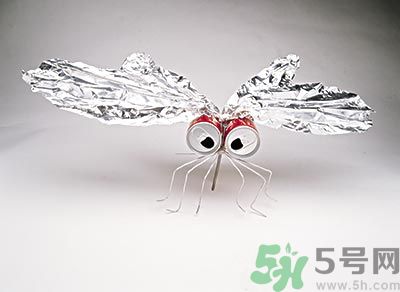 黃熱病是什么樣的疾病？黃熱病有哪些癥狀？