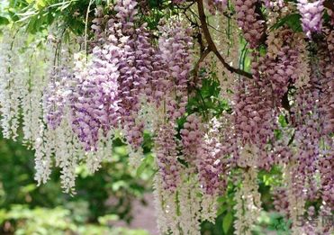 春天吃什么蔬菜好？春天吃蔬菜對身體有什么好？