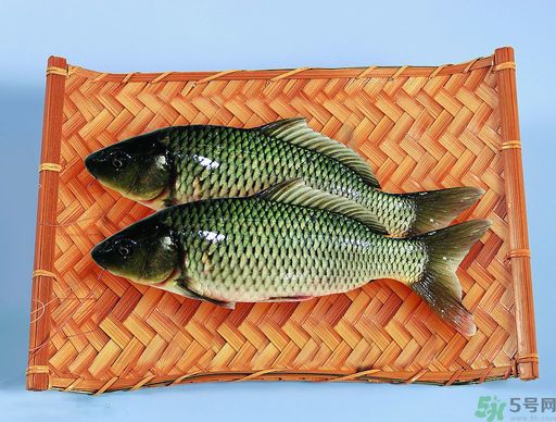 孕婦吃什么魚對胎兒好？孕婦吃什么魚最好？