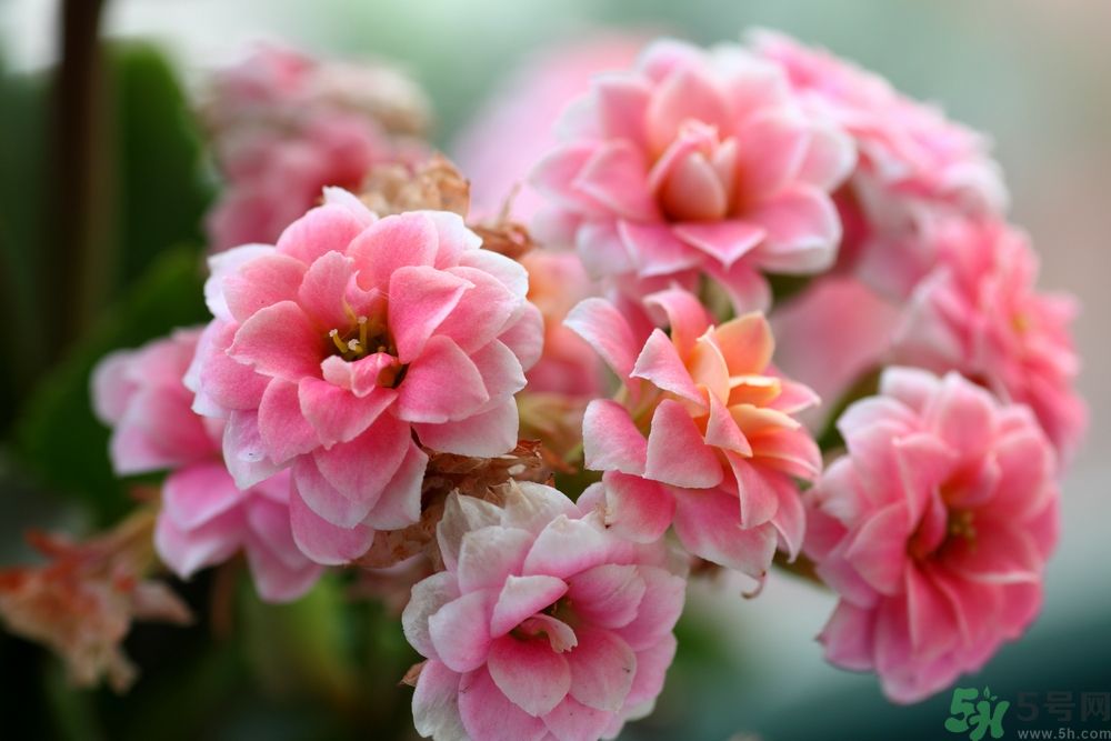 怎么才能更加長壽？要長壽需要做什么？