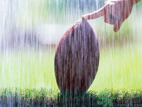 濕氣重的癥狀？怎么去除體內(nèi)的濕氣？