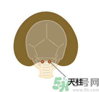 臉總是腫腫的怎么辦？臉有點(diǎn)浮腫怎么消腫？