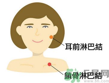 臉總是腫腫的怎么辦？臉有點(diǎn)浮腫怎么消腫？