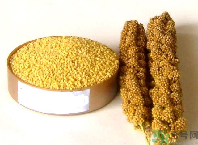 失眠吃什么才能好好睡覺？失眠了應(yīng)該怎么辦？