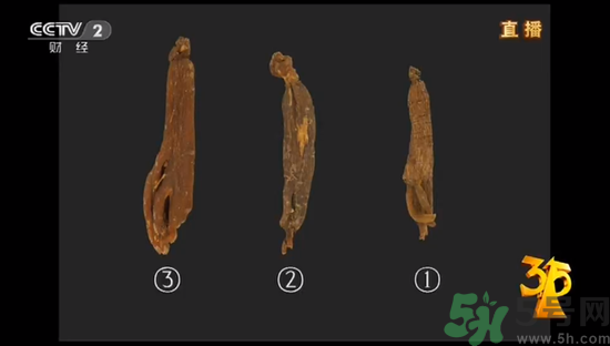 紅參怎么挑選？紅參摻糖怎么辯解？