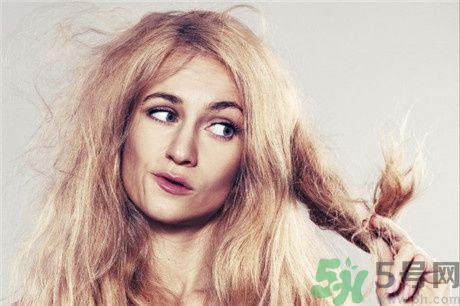 頭發(fā)分叉怎么辦？頭發(fā)油怎么辦？