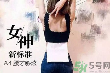 B5腰圍比A4腰圍更好？B5腰是什么意思？