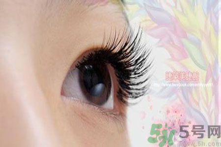 種睫毛的危害有哪些？種睫毛能保持多久？