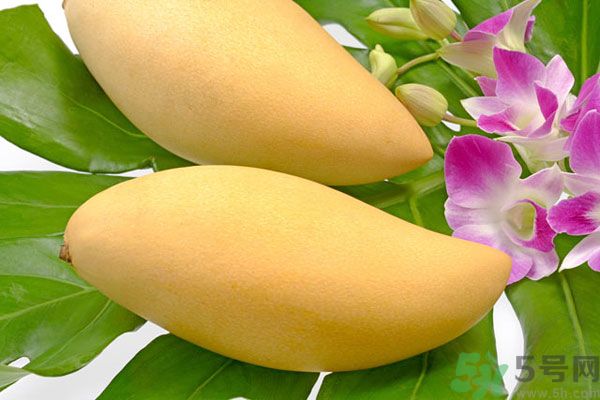 吃芒果嘴唇過敏怎么辦？為什么吃了芒果后嘴巴癢？