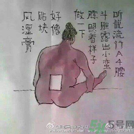 a4腰也叫水桶腰是什么意思？a4腰也叫水桶腰圖片？ 
