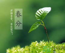 春分時(shí)養(yǎng)生要注意什么？春分要預(yù)防哪些疾?。?></p><h4>春分防支氣管擴(kuò)張</h4><p>支氣管擴(kuò)張是一種感染性疾病，因支氣管或肺慢性炎癥(浸潤(rùn)型肺結(jié)核)的損害而造成支氣管壁破壞和管腔擴(kuò)張及變形而發(fā)病。春天因氣候多變，乍暖乍寒，人們很容易引發(fā)支氣管擴(kuò)張。有支氣管擴(kuò)張宿疾的，更會(huì)因?yàn)樘鞖獾睦渑療o(wú)常，而引起復(fù)發(fā)咯血。</p><p>對(duì)于有支氣管擴(kuò)張的患者，應(yīng)絕對(duì)臥床休息，最好是側(cè)臥位，要鎮(zhèn)靜，注意環(huán)境安靜。保持大便通暢，防止便秘。胸部放置冰袋。可用小量止咳鎮(zhèn)靜劑。此外，患者還應(yīng)借助飲食做輔助調(diào)養(yǎng)，下面介紹2款治療支氣管擴(kuò)張食療方：</p><p>1、胡蘿卜茶陳海蜇、胡蘿卜各zoo克。將海蜇漂洗干凈，切碎，胡蘿卜洗凈切片，共置鍋內(nèi)，加水煎湯，代茶飲用。每日1劑。可清熱平喘，軟堅(jiān)散結(jié)，化滯下氣。適用于支氣管擴(kuò)張。</p><p>2、川貝雪梨燉豬肺豬肺60克，雪梨2個(gè)，川貝母15克，冰糖少許。將豬肺洗凈切塊，雪梨去皮、核，切塊，與川貝、冰糖共置砂鍋內(nèi)，加水燉熟服食。每日1劑?？勺剃帩?rùn)肺，除熱化痰。適用于支氣管擴(kuò)張。</p><h4>春分應(yīng)注意平衡養(yǎng)生</h4><p>《素問(wèn)·至真要大論》中記載： “謹(jǐn)察陰陽(yáng)所在而調(diào)之，以平為期。”便說(shuō)人體應(yīng)該根據(jù)不同時(shí)期的陰陽(yáng)狀況，使“內(nèi)在運(yùn)動(dòng)”也就是臟腑、氣血、精氣的生理運(yùn)動(dòng)，與“外在運(yùn)動(dòng)”即腦力、體力和體育運(yùn)動(dòng)和諧一致，保持“供銷(xiāo)”關(guān)系的平衡。由于春分節(jié)氣平分了晝夜、寒暑，人們?cè)诒＝○B(yǎng)生時(shí)也應(yīng)注意保持人體的陰陽(yáng)平衡狀態(tài)。</p><p>在這個(gè)時(shí)節(jié)，人體血液正處于旺盛時(shí)期，激素水平也處于相對(duì)高峰期，所以，最易引起如高血壓、月經(jīng)失調(diào)、痔瘡及過(guò)敏性疾病等常見(jiàn)的非感染性疾病。對(duì)于這些疾病我們也應(yīng)當(dāng)給予高度的重視?！端貑?wèn)·骨空論》中所說(shuō)：“調(diào)其陰陽(yáng)，不足則補(bǔ)，有余則瀉”。所以，我們?cè)谇橹?、運(yùn)動(dòng)及飲食上以“虛則補(bǔ)之，實(shí)則瀉之”為原則，對(duì)身體陰陽(yáng)的平衡進(jìn)行調(diào)整，從而達(dá)到杜絕疾病，健體強(qiáng)身的目的。</p><p style=