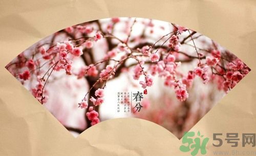 春分時(shí)養(yǎng)生要注意什么？春分要預(yù)防哪些疾??？