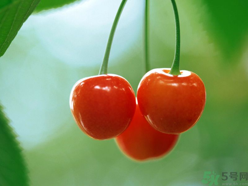 春分時(shí)節(jié)養(yǎng)生吃什么水果好？那些水果可以春天吃？