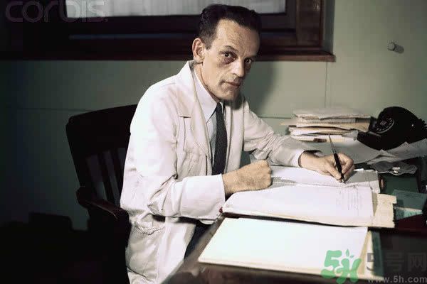 黃熱病是什么疾??？黃熱病怎樣有效的預(yù)防？