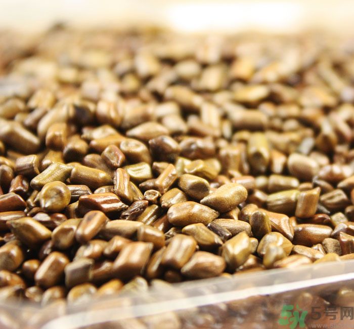 什么花可以凈化空氣？什么花可以減肥？