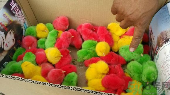 1458632594711859.jpg 4f36b051f8198618137232274eed2e738bd4e60e.jpg