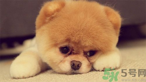 睡覺能戴手表嗎？睡覺不能帶的東西有哪些？