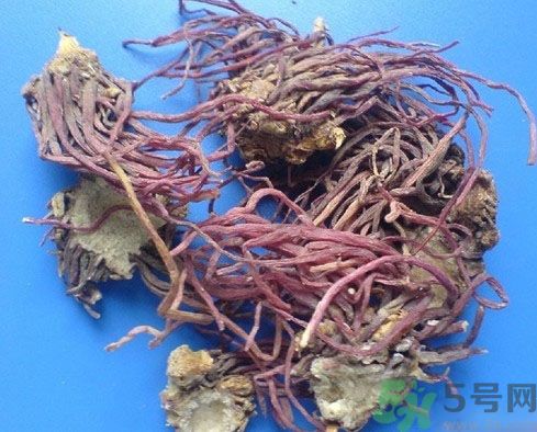 紫菀的功效和作用是什么？紫菀的用法用量是多少？