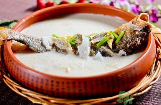 煲魚湯怎么去腥？家常魚湯做法有哪些？