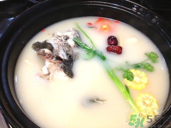 煲魚湯怎么去腥？家常魚湯做法有哪些？