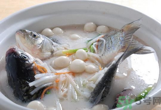 煲魚湯怎么去腥？家常魚湯做法有哪些？