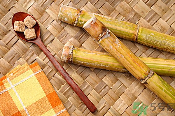 清明節(jié)能吃甘蔗嗎？清明節(jié)吃甘蔗會中毒嗎？