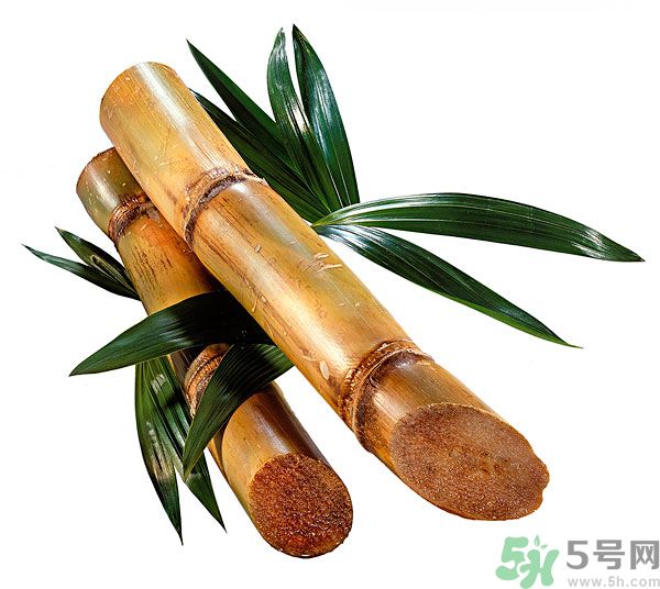 清明節(jié)能吃甘蔗嗎？清明節(jié)吃甘蔗會中毒嗎？