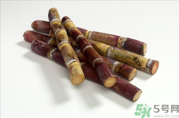 清明節(jié)能吃甘蔗嗎？清明節(jié)吃甘蔗會中毒嗎？