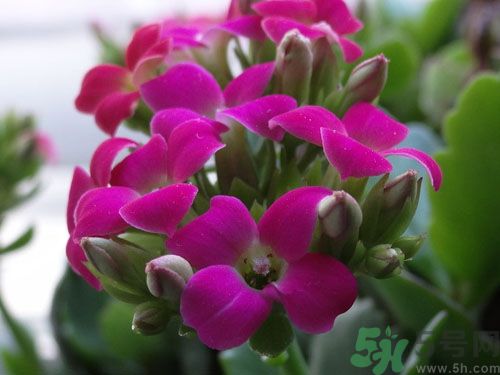 從身體特征看出你是否長(zhǎng)壽？要長(zhǎng)壽學(xué)要做這些？