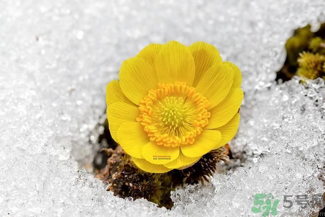 清明節(jié)有哪些習(xí)俗？清明節(jié)習(xí)俗的來源？