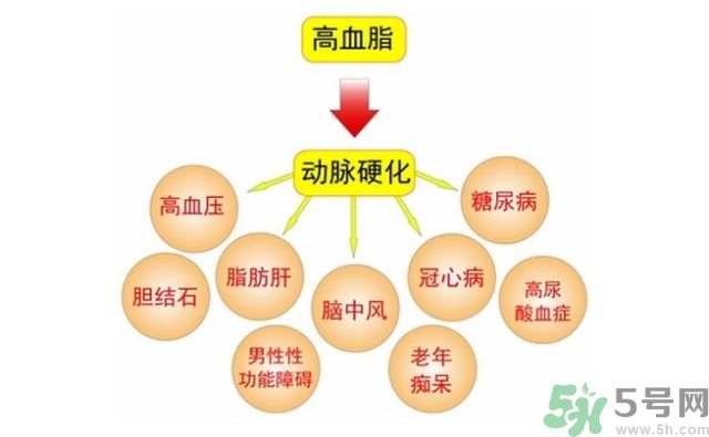 吃什么可以降血脂？高血脂吃什么好？