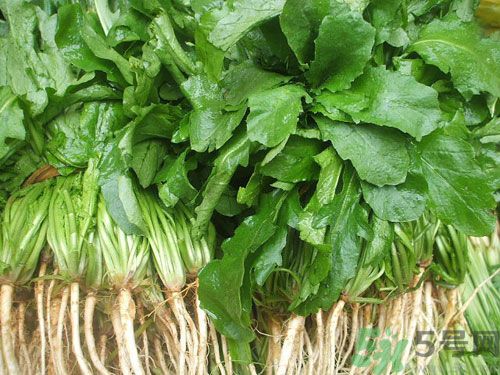 薺菜是發(fā)物嗎？薺菜是不是發(fā)物？