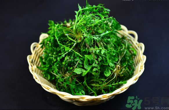 薺菜根能吃嗎？薺菜要去根吃嗎？