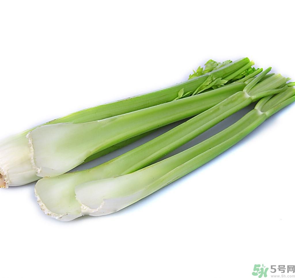芹菜可以減肥嗎？芹菜有什么功效？