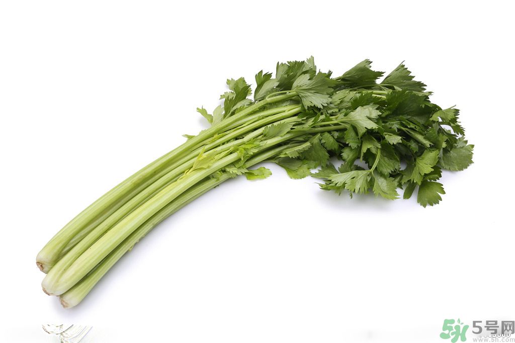 芹菜可以減肥嗎？芹菜有什么功效？