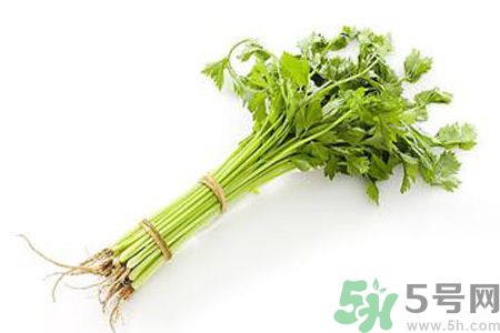 芹菜可以減肥嗎？芹菜有什么功效？