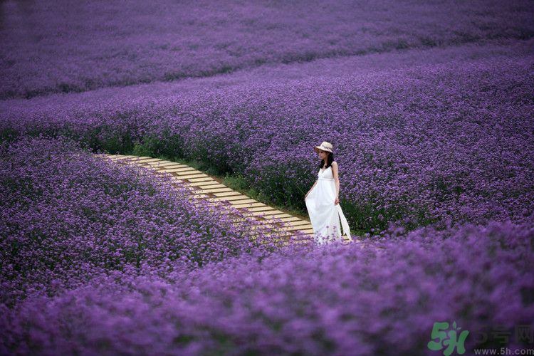 這9種男人女人一定不能嫁？哪種男人女人很受傷？