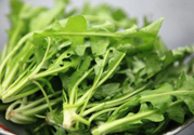 薺菜為什么要焯水？薺菜要用開(kāi)水燙嗎？