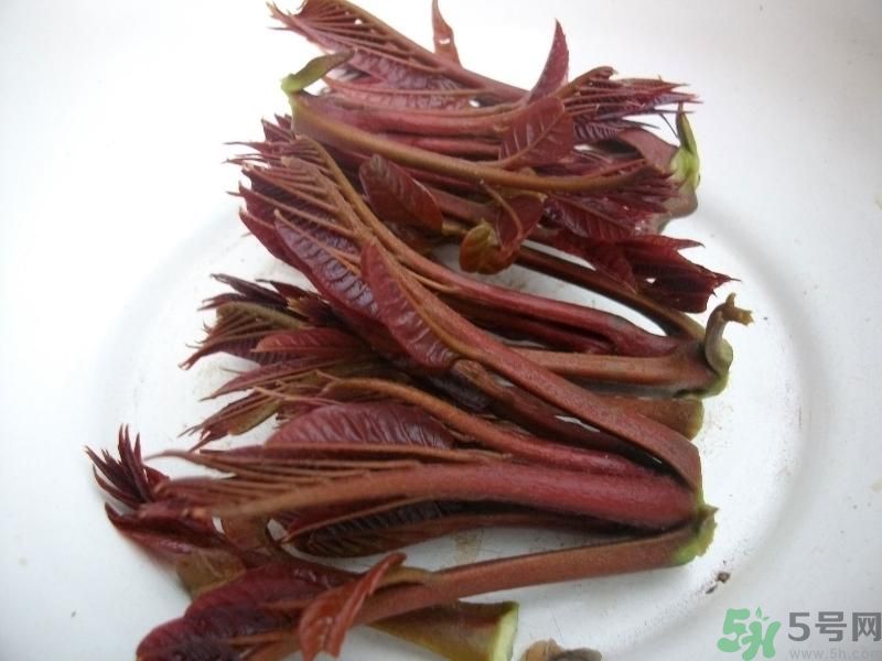 香椿好吃嗎？香椿可以做菜嗎？