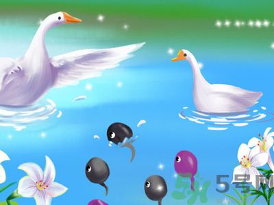 懷孕前要做檢查嗎？哪些人群必須要進行孕前檢查？