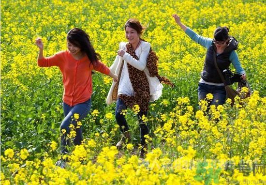 清明節(jié)的習(xí)俗有哪些？清明節(jié)吃什么？