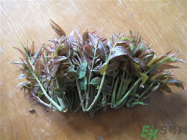 香椿怎么吃才安全？吃香椿的最佳時間是什么時候？